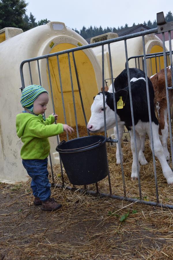 Ferienhof Schricker Marktleuthen Zewnętrze zdjęcie